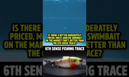 BEST Moderately Priced Swimbait? 6th Sense Fishing Trace