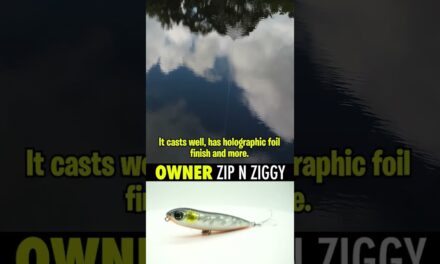 BEST TOPWATER Bass Fishing Lure? Owner Zip N Ziggy #shorts