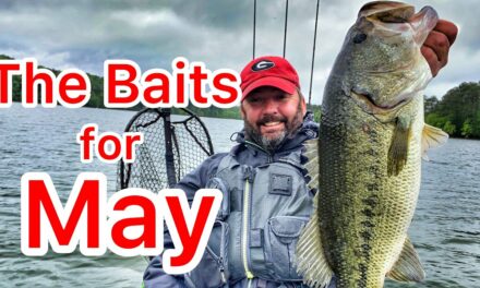 FlukeMaster – Bass Fishing Baits for the Month of May