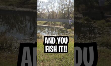 Bass Fishing a Florida Retention Pond at my Buddies House #shorts