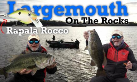 Bass On The Rocks (NEW Rapala Rocco!)