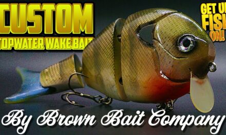 CUSTOM Jointed Bass Fishing Topwater Wake Bait Bluegill
