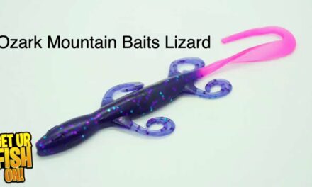 Custom Hand Poured Bass Fishing Lizard: Ozark Mountain Baits