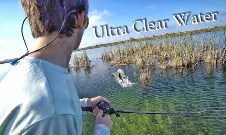 Scott Martin Pro Tips – Fishing ULTRA Clear Water for Bass!