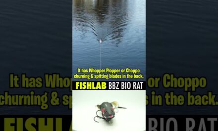 Fishlab BBZ Bio Rat Topwater Churning & Spitting Bass Fishing Lure #shorts