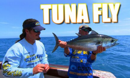 Fly Fishing Tuna Behind the Shrimp Boats in Key West Florida