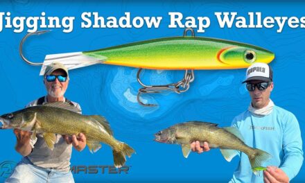 Jigging Shadow Rap Walleyes