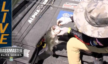 Bassmaster – LAY LAKE: Palaniuk staying on top with sight fishing success