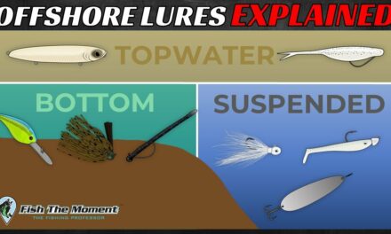 Pick the PERFECT Offshore Bass Lure EVERY TIME With This Simple Guide- Winter, Spring, Summer & Fall
