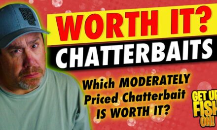Revealing the BEST Moderate Priced Bladed Jig Chatterbait for BASS FISHING.. Results are IN!