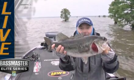 Bassmaster – SANTEE COOPER: Menendez starts Championship Sunday with two giant bass to take lead