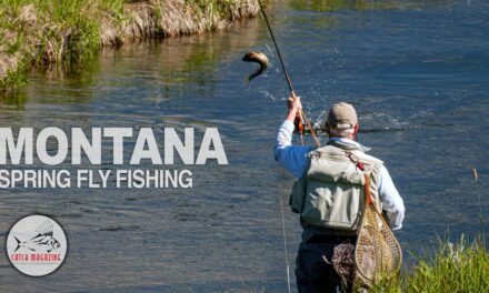 Spring Creek FLY FISHING: BIG FISH Knee Deep in Montana’s Madison Valley