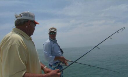 The Reason Bill Dance Outdoors has a Saltwater Series