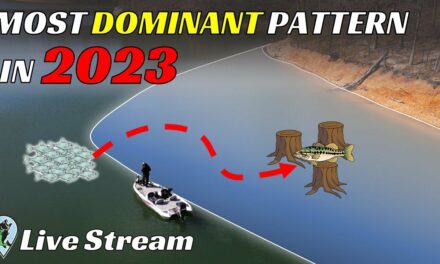 This Pattern Will Dominate Pro Fishing in 2023 | FTM Livestream #135