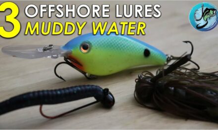 Top 3 Offshore Baits For Muddy Water Bass Fishing