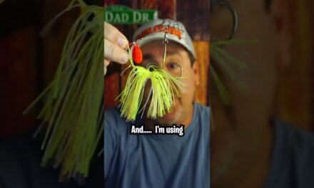 Top Three Baits to use in February Pt. 1 #shorts