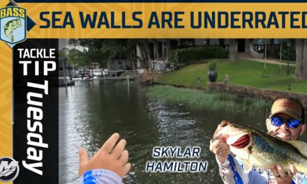 Bassmaster – Using SEA WALLS through multiple stages of the SPAWN