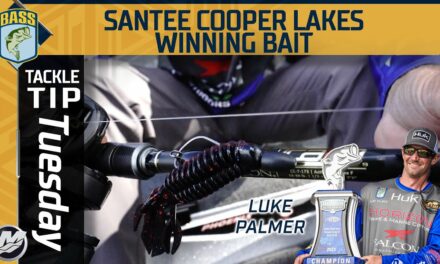 Bassmaster – Varying weight sizes leads to incredible success around the bass spawn