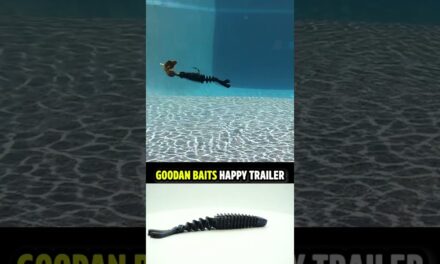 Will the Googan Baits Happy Trailer Leave You Satisfied and HAPPY?