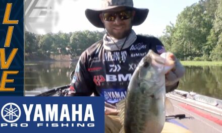 Bassmaster – Yamaha Clip of the Day: Brandon Palaniuk closes in on possible 6th Elite win