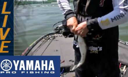 Bassmaster – Yamaha Clip of the Day: Davis staying strong on his home lake