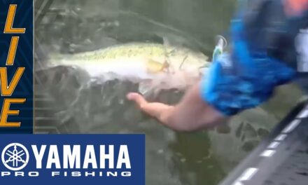 Bassmaster – Yamaha Clip of the Day: Mueller makes the most of Moultrie