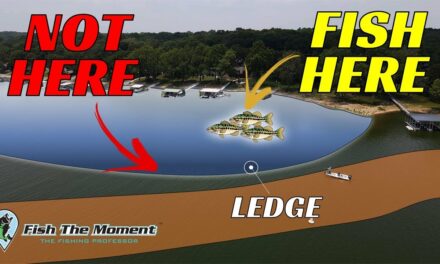 You’re Fishing Ledges The Wrong Way – Here’s the Solution