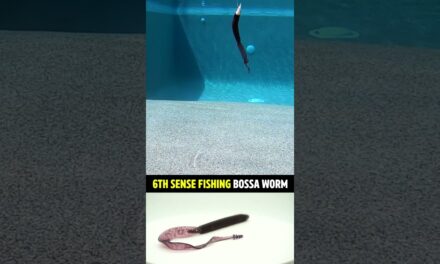 6th Sense Fishing Bossa Ribbon Tail Bass Fishing Worm #shorts