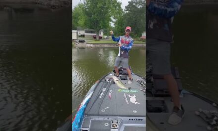 Bassmaster – Angler of the Year leader Brandon Cobb catching them at Lay Lake