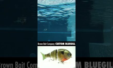 CUSTOM Brown Bait Company Bass Fishing Bluegill Swimbait #shorts #fishing #swimbaits