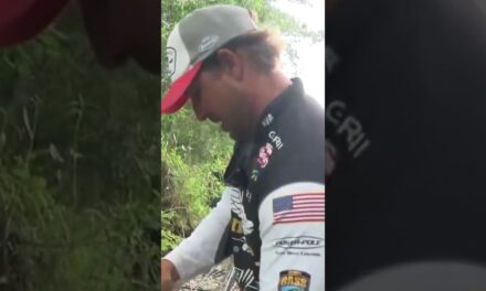 Bassmaster – Close quarters fishing with Keith Poche at the Sabine River