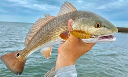 Salt Strong | – DO THIS If You Want To Catch More Redfish On Spoons