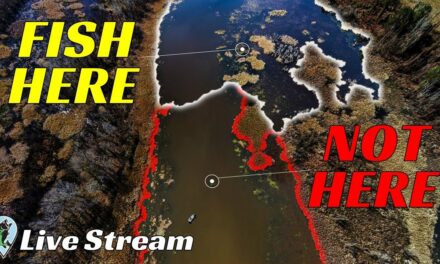 Don’t Make Spring Bass Fishing Harder Than It Is | FTM Livestream #136