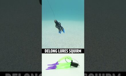GIMMICK or Next Generation Bass Fishing Jig: DeLong Lures SQUIRM #shorts