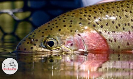 Hopper Season: Fly Fishing for Trout on the Williamson River