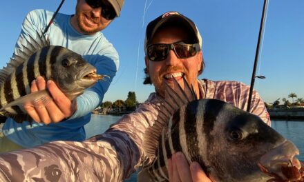 Salt Strong | – How To Catch Sheepshead On Fake Crabs (LIVE Video)