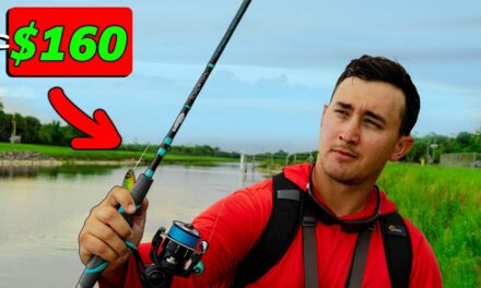 Lawson Lindsey – Is a ToadFish Fishing Rod and Reel Actually Worth the Money?