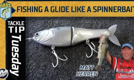 Bassmaster – Learning to fish a Glide Bait like a Spinnerbait