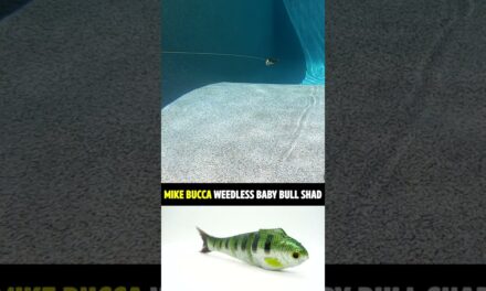 Mike Bucca Baby Bull Shad Weedless Bass Fishing Swimbait #shorts