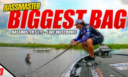 Scott Martin Pro Tips – My BIGGEST Bassmaster Bag EVER! – Bassmaster Elite Lake Okeechobee (Tournament) – UFB S3 E03