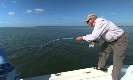 Pompano Fishing Florida with DOA Baitbuster Fort Pierce