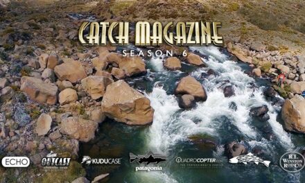 Season #6 DVD by Todd Moen – Catch Magazine
