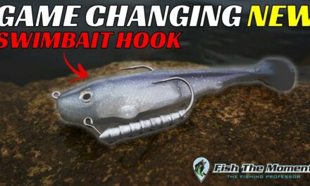 Swimbait Fishing Just Changed FOREVER! Don’t Miss Out!!!