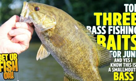 TOP THREE BEST Bass Fishing Lures & Baits to Use in June