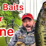 FlukeMaster – The Baits for June Bass Fishing