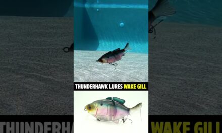 Thunderhawk Lures Wake Gill Topwater Bass Fishing Lure #shorts
