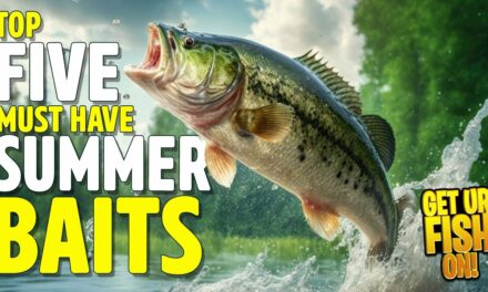 Top 5 MUST-Have Lures for Summer Bass Fishing