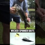 Wicked Spinner Baits Largemouth Bass Fishing Topwater Buzzbait