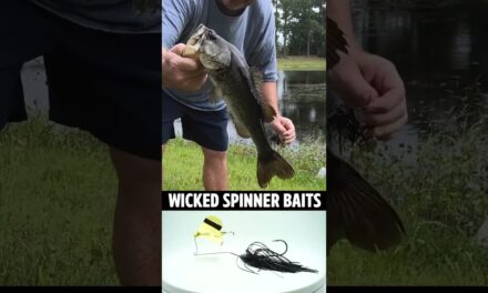 Wicked Spinner Baits Largemouth Bass Fishing Topwater Buzzbait