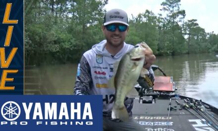 Bassmaster – Yamaha Clip of the Day: Blaylock improves Top 10 odds with key cull